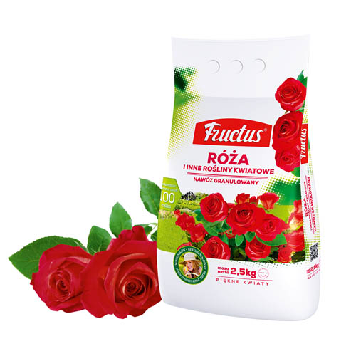 Fructus Róża i inne rośliny kwiatowe
