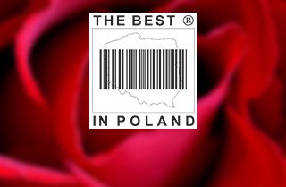 The Best in Poland